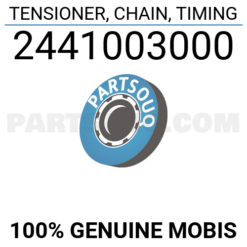 tendeur chaine dist